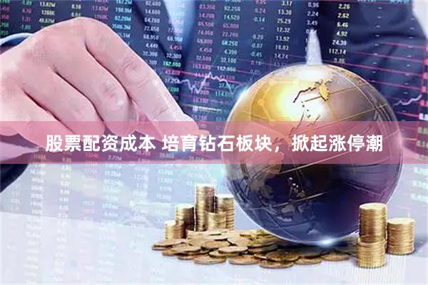 股票配資成本 培育鉆石板塊，掀起漲停潮